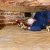 Newton Grove Crawlspace Encapsulation by Sealed Solution